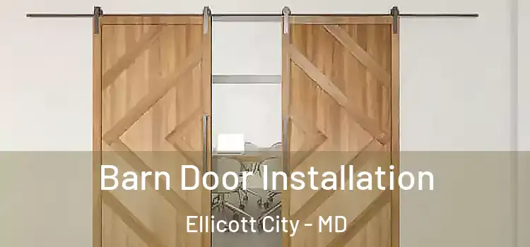  Barn Door Installation Ellicott City - MD