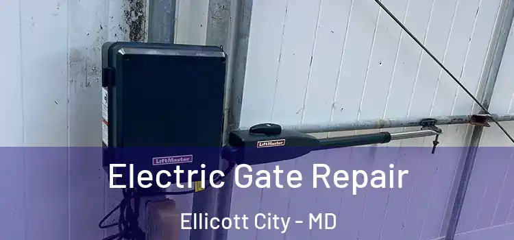 Electric Gate Repair Ellicott City - MD