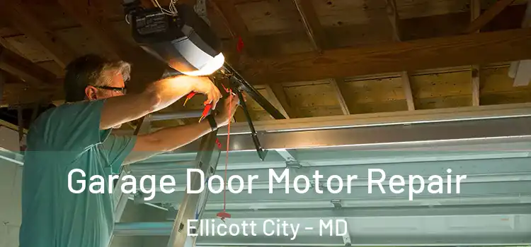  Garage Door Motor Repair Ellicott City - MD