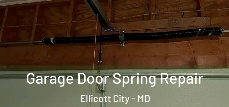  Garage Door Spring Repair Ellicott City - MD