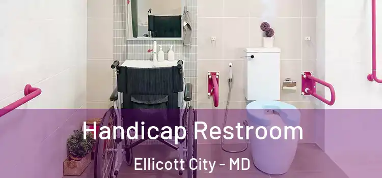  Handicap Restroom Ellicott City - MD