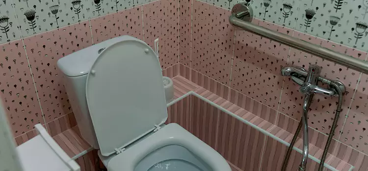 Meeting Diverse Needs With Accessible Restroom Solutions in Ellicott City, MD