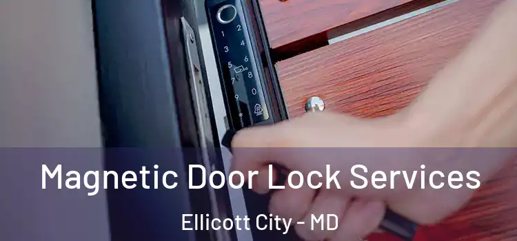  Magnetic Door Lock Services Ellicott City - MD