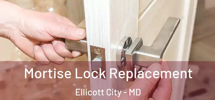  Mortise Lock Replacement Ellicott City - MD
