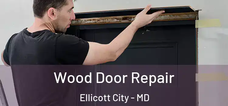 Wood Door Repair Ellicott City - MD